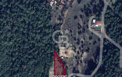 Bornova Yakaköy Orman Yanı Doğa İçinde Satılık Arazi