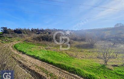 SATILIK! 5 DÖNÜM YOLA CEPHELİ MEYVE BAHÇESİ