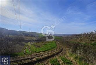 SATILIK! 5 DÖNÜM YOLA CEPHELİ MEYVE BAHÇESİ - 2 - 342175