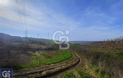 SATILIK! 5 DÖNÜM YOLA CEPHELİ MEYVE BAHÇESİ