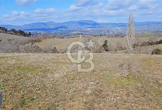 Çanakkale/Lapseki Köprü otobanı güzergahı "25.263m²"süper arazi. - 3 - 342173