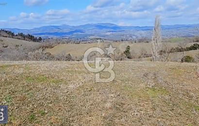 Çanakkale/Lapseki Köprü otobanı güzergahı "25.263m²"süper arazi.