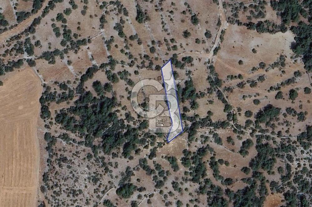 Muğla Menteşe Denizova'da  747m2 Satılık Tarla 