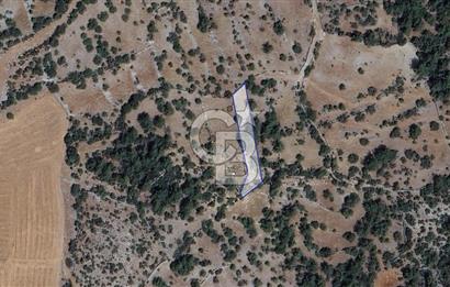 Muğla Menteşe Denizova'da  747m2 Satılık Tarla 