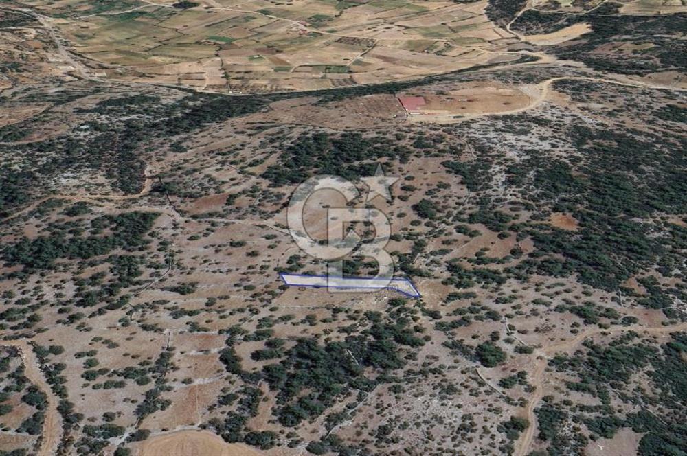 Muğla Menteşe Denizova'da  747m2 Satılık Tarla 