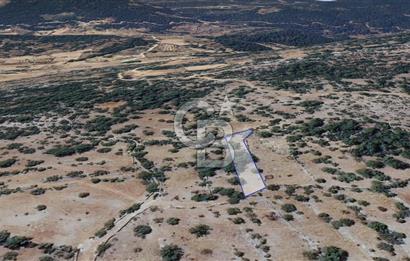 Muğla Menteşe Denizova'da  747m2 Satılık Tarla 