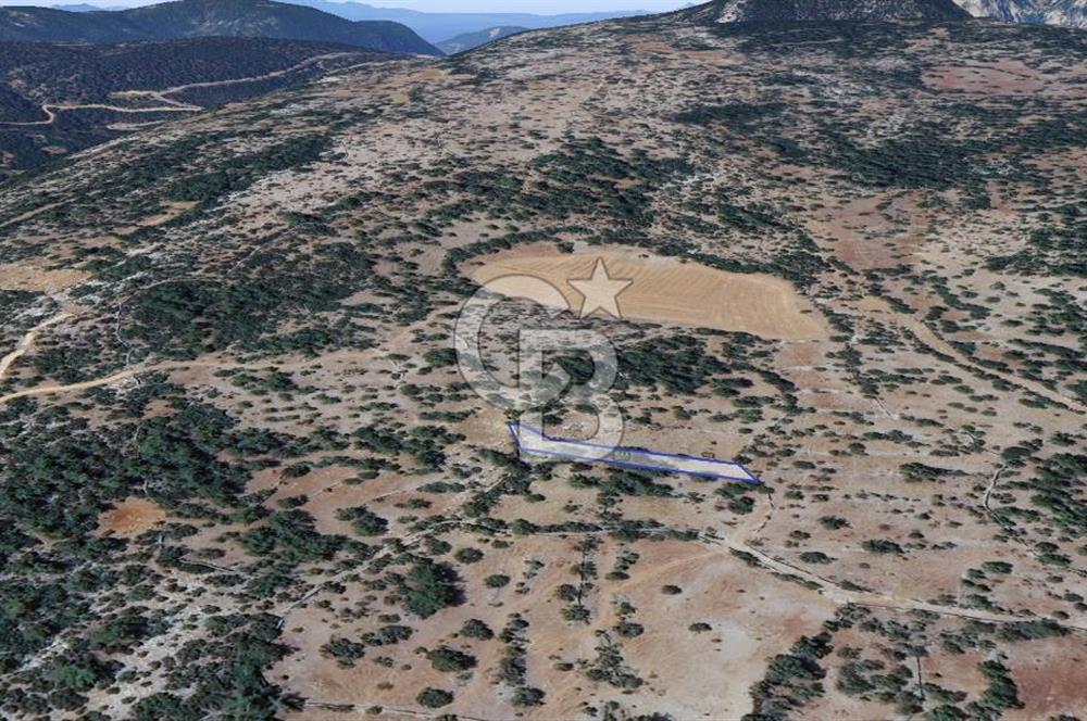 Muğla Menteşe Denizova'da  747m2 Satılık Tarla 