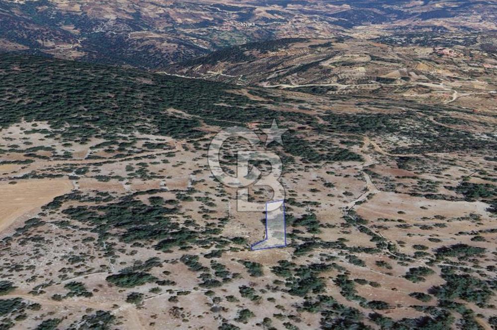 Muğla Menteşe Denizova'da  747m2 Satılık Tarla 