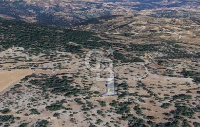 Muğla Menteşe Denizova'da  747m2 Satılık Tarla 