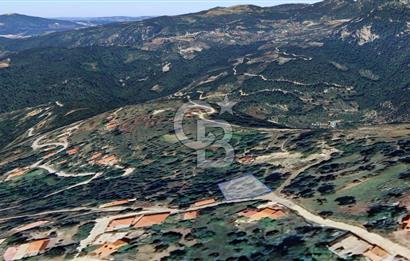 Dağpınar’da Köy Yerleşim Alanı İçerisinde Satılık 504m2 Tarla 