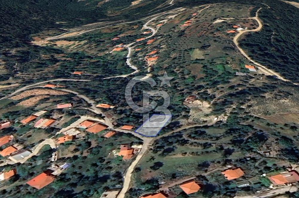 Dağpınar’da Köy Yerleşim Alanı İçerisinde Satılık 504m2 Tarla 