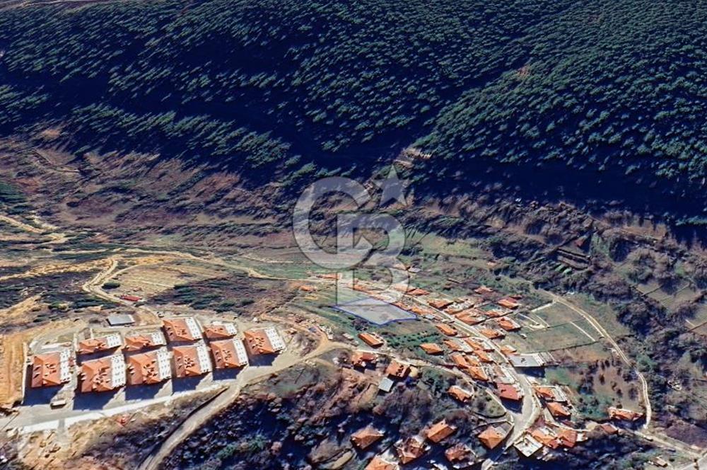 Muğla Kavaklıdere Menteşe’de Satılık 1235m2 Arsa