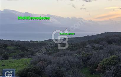 ANTİK ASSOS/KOZLU'DA 1500M²BAHÇE İÇİNDE MUHTEŞEM TAŞ EV.