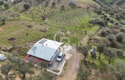 Menderes Çatalca 2 dönüm bahçeli Satılık 2+1 Müstakil Ev