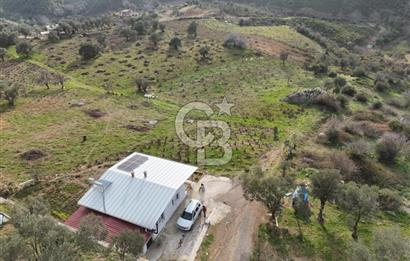 Menderes Çatalca 2 dönüm bahçeli Satılık 2+1 Müstakil Ev