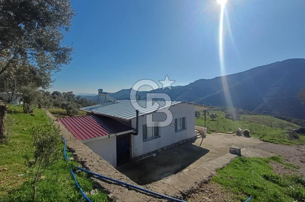 Menderes Çatalca 2 dönüm bahçeli Satılık 2+1 Müstakil Ev