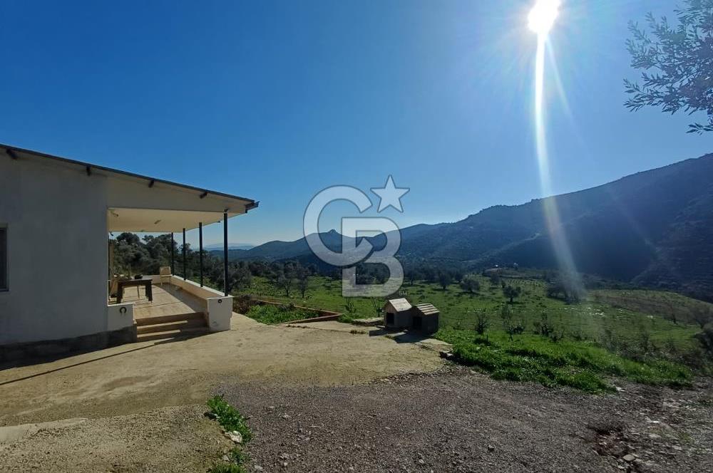 Menderes Çatalca 2 dönüm bahçeli Satılık 2+1 Müstakil Ev