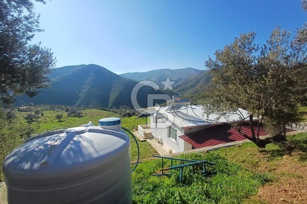 Menderes Çatalca 2 dönüm bahçeli Satılık 2+1 Müstakil Ev