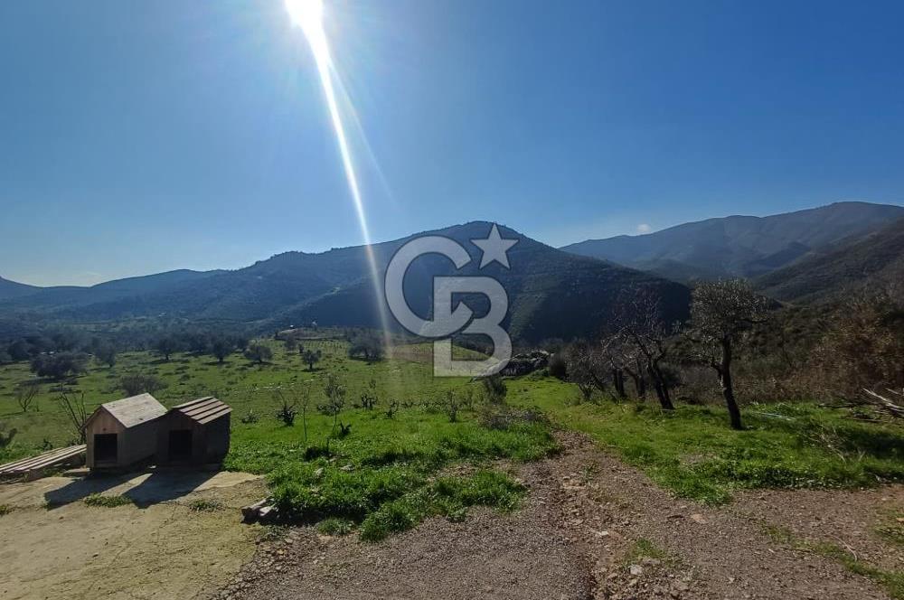 Menderes Çatalca 2 dönüm bahçeli Satılık 2+1 Müstakil Ev