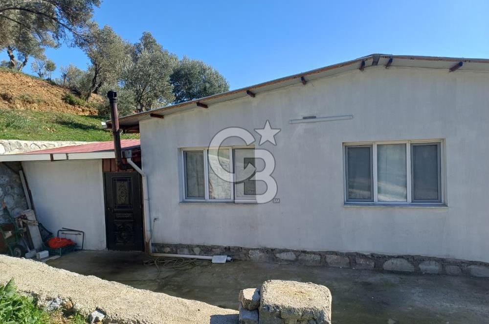 Menderes Çatalca 2 dönüm bahçeli Satılık 2+1 Müstakil Ev