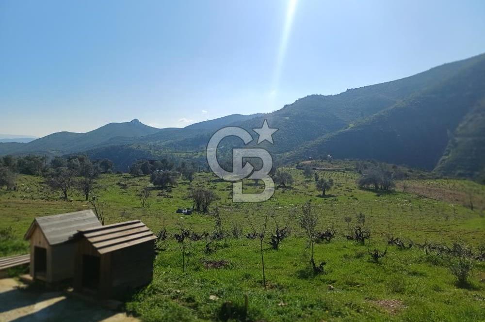 Menderes Çatalca 2 dönüm bahçeli Satılık 2+1 Müstakil Ev