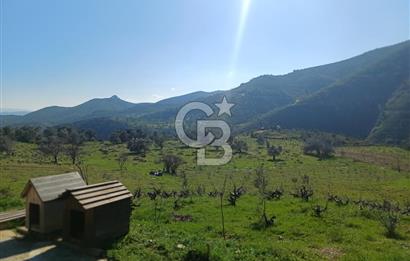 Menderes Çatalca 2 dönüm bahçeli Satılık 2+1 Müstakil Ev