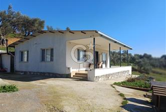 Menderes Çatalca 2 dönüm bahçeli Satılık 2+1 Müstakil Ev - 1 - 342149