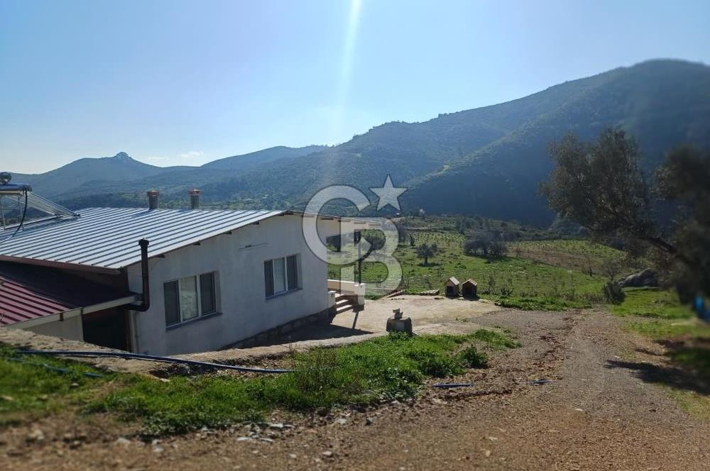 Menderes Çatalca 2 dönüm bahçeli Satılık 2+1 Müstakil Ev