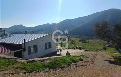 Menderes Çatalca 2 dönüm bahçeli Satılık 2+1 Müstakil Ev