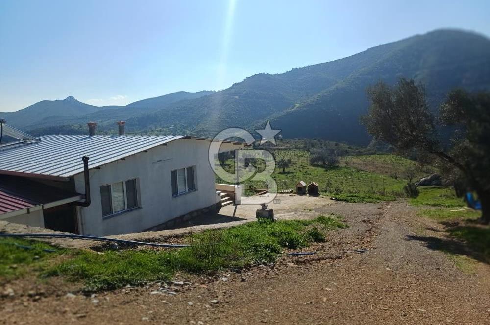 Menderes Çatalca 2 dönüm bahçeli Satılık 2+1 Müstakil Ev