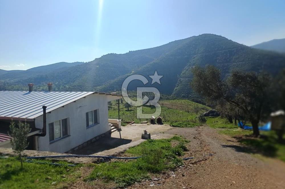 Menderes Çatalca 2 dönüm bahçeli Satılık 2+1 Müstakil Ev