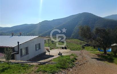 Menderes Çatalca 2 dönüm bahçeli Satılık 2+1 Müstakil Ev