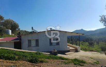 Menderes Çatalca 2 dönüm bahçeli Satılık 2+1 Müstakil Ev