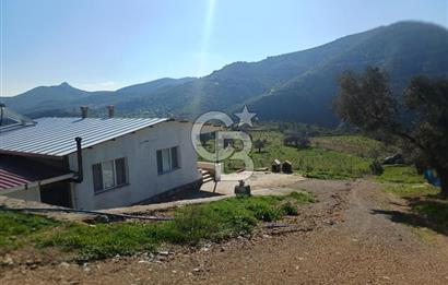 Menderes Çatalca 2 dönüm bahçeli Satılık 2+1 Müstakil Ev