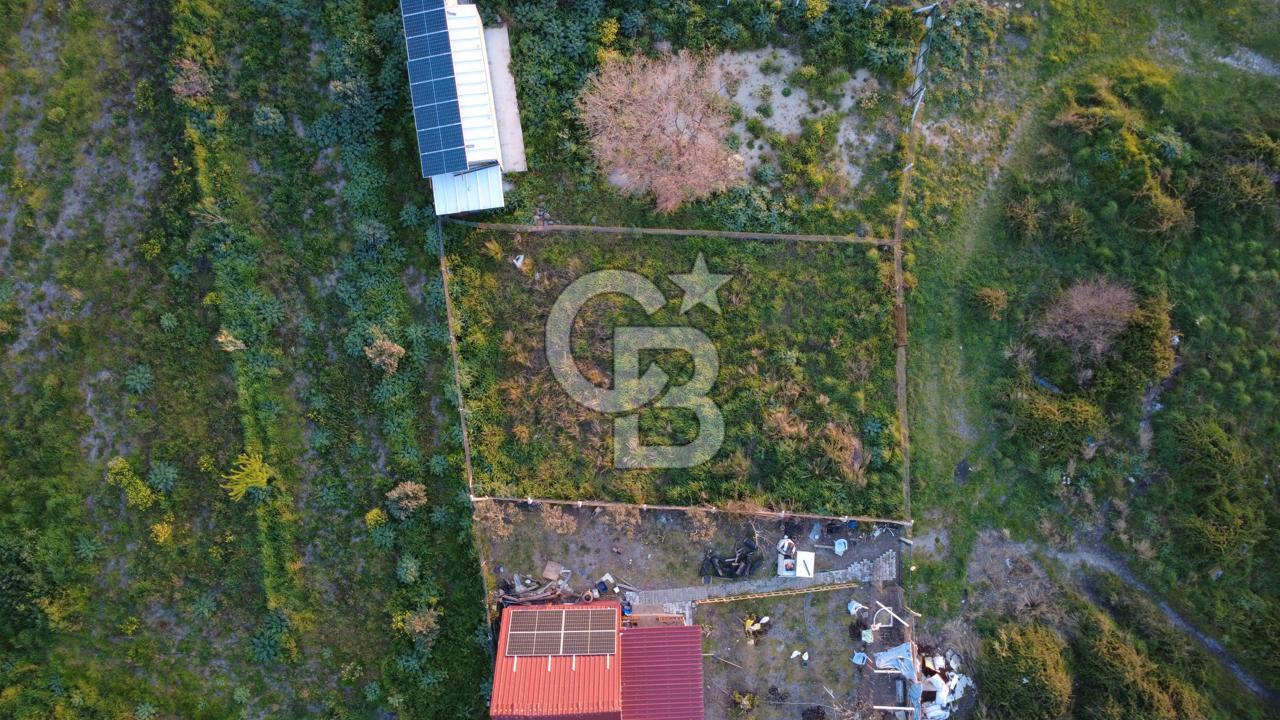 HELVACIDA 258m2 TEK TAPU YOLU OLAN TARLA