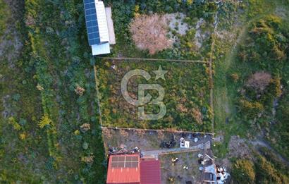 HELVACIDA 258m2 TEK TAPU YOLU OLAN TARLA