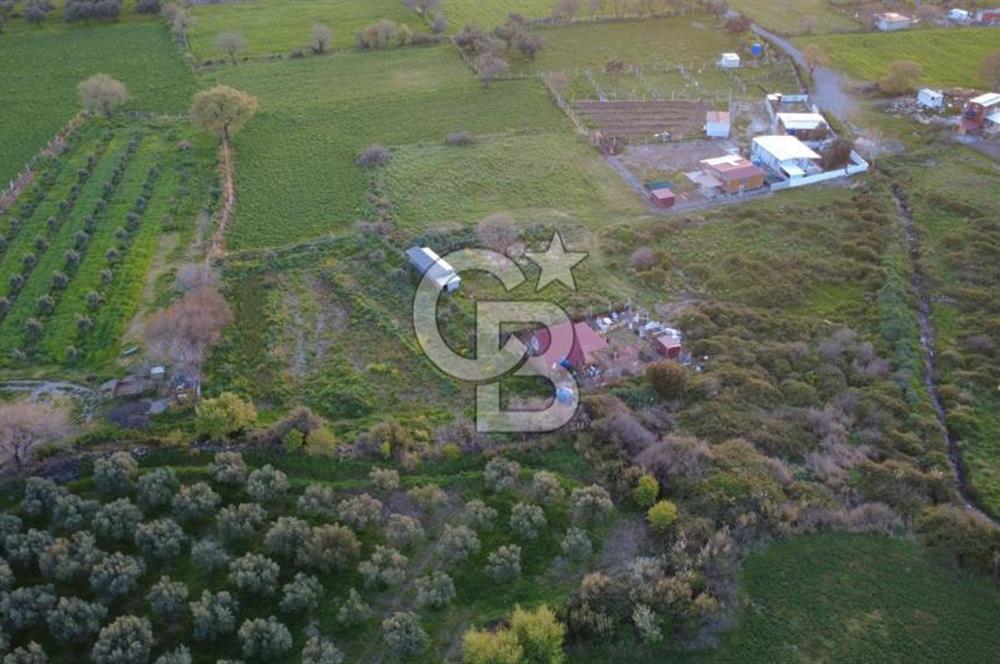 HELVACIDA 258m2 TEK TAPU YOLU OLAN TARLA