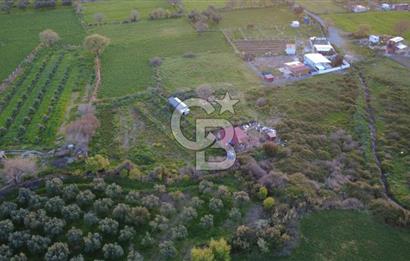 HELVACIDA 258m2 TEK TAPU YOLU OLAN TARLA