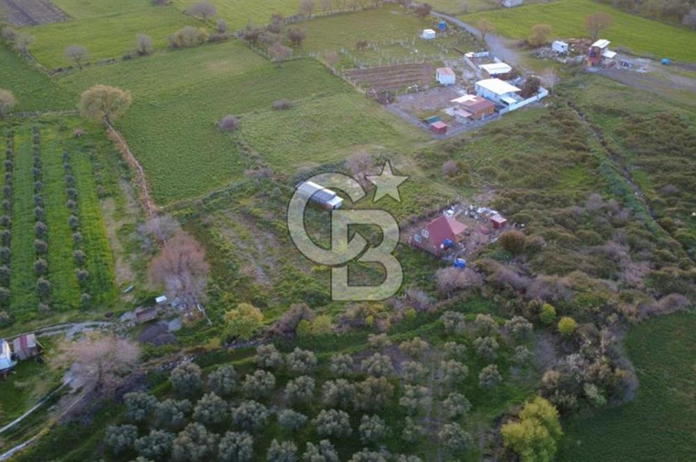 HELVACIDA 258m2 TEK TAPU YOLU OLAN TARLA