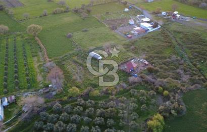 HELVACIDA 258m2 TEK TAPU YOLU OLAN TARLA