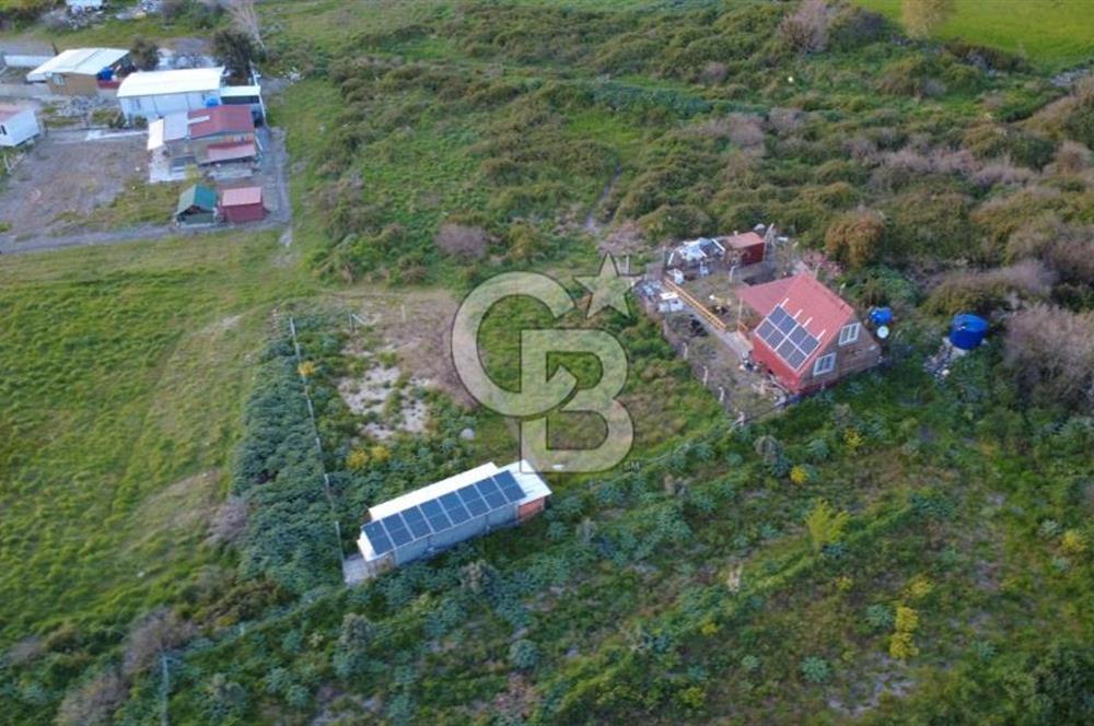 HELVACIDA 258m2 TEK TAPU YOLU OLAN TARLA