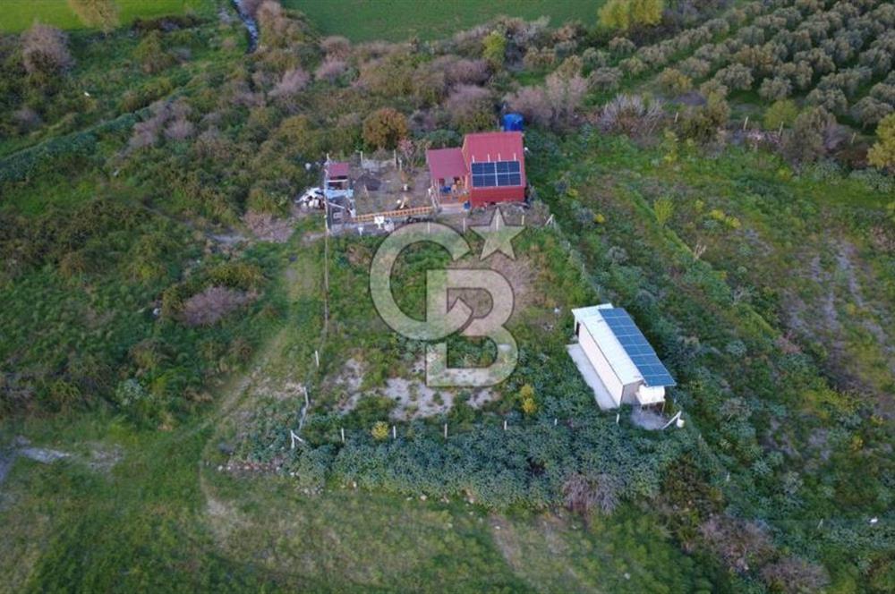 HELVACIDA 258m2 TEK TAPU YOLU OLAN TARLA