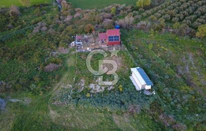 HELVACIDA 258m2 TEK TAPU YOLU OLAN TARLA