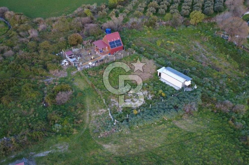 HELVACIDA 258m2 TEK TAPU YOLU OLAN TARLA