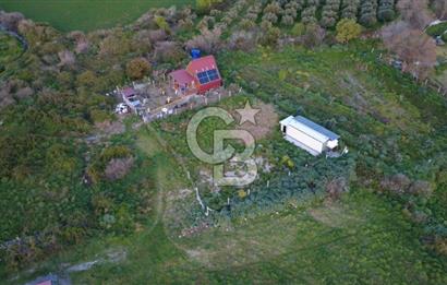 HELVACIDA 258m2 TEK TAPU YOLU OLAN TARLA