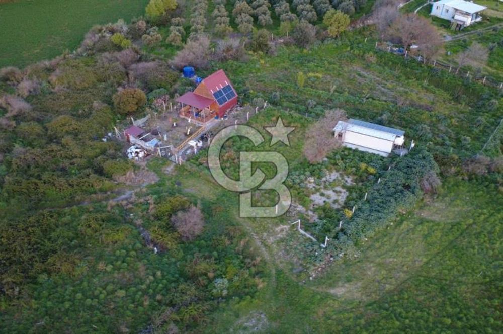 HELVACIDA 258m2 TEK TAPU YOLU OLAN TARLA