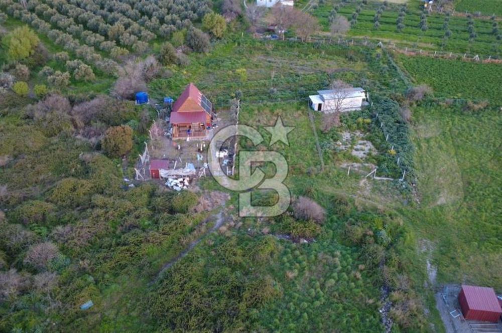 HELVACIDA 258m2 TEK TAPU YOLU OLAN TARLA