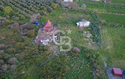 HELVACIDA 258m2 TEK TAPU YOLU OLAN TARLA