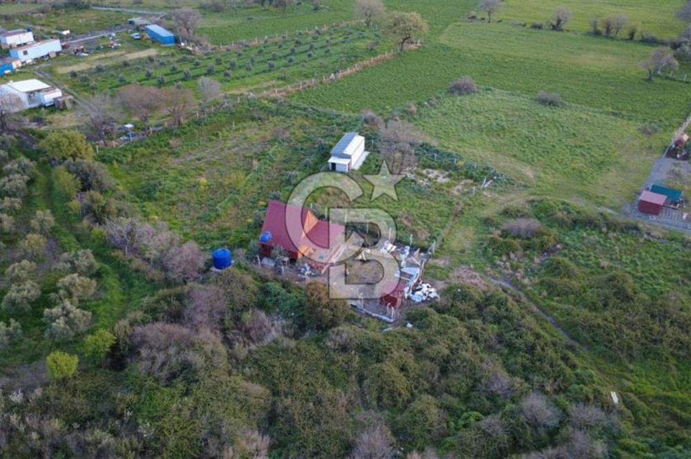 HELVACIDA 258m2 TEK TAPU YOLU OLAN TARLA