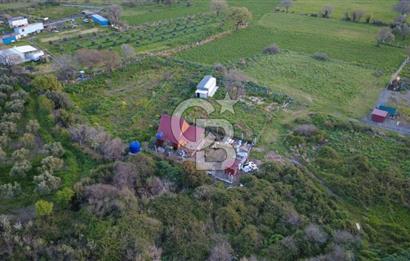 HELVACIDA 258m2 TEK TAPU YOLU OLAN TARLA